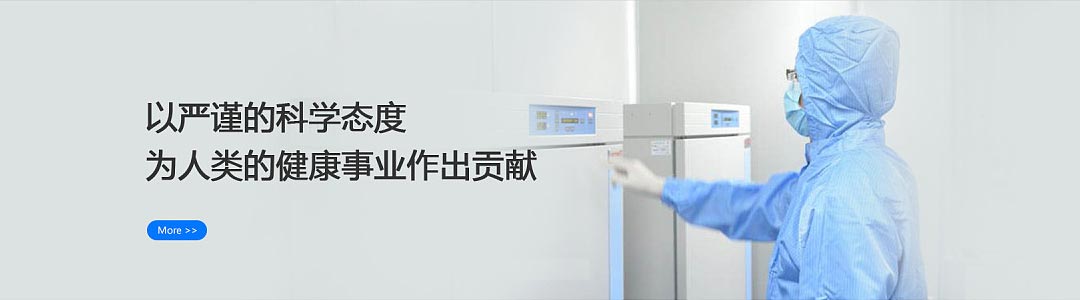 電子皮帶秤